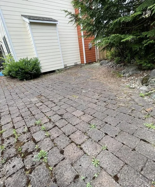Paver Patio & Walkway Installation in Kirkland 